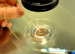 ̨���Թ�Ӥ����ֲ����ʧ�ܵ�ԭ��  