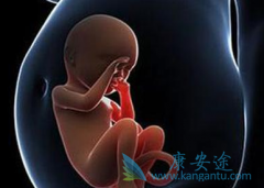 �����Թ�Ӥ��������ҽ�ƷѴ����3����������  