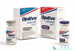 PD-1���Ƽ���IDO1���Ƽ����������������ע