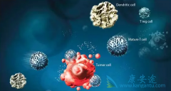 7x19CAR-Tϸ��������޷�����ʵ����������