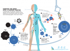 ŵ���׿�CAR-T�Ʒ�����DLBCL�����ʸߴ�37%