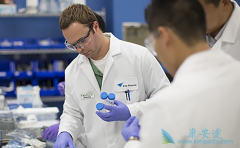 ��CAR-Tϸ�����Ʒ���֮��KiteͬʱҲ�ڿ���TCR-T�Ʒ�