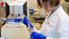 KTE-C19��Ʒ�����ύȫ���һ��CAR-Tϸ����ƷIND����