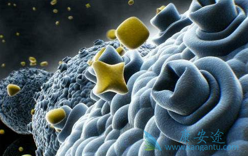 癌症不是绝症 癌症不是绝症