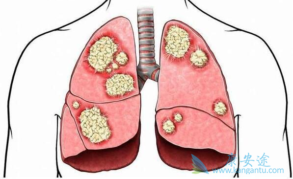 ���˷ΰ���ô��