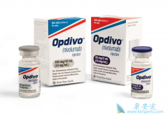 �ΰ��Ƕ���PD-1���Ƽ�������ռ����Ӧ֢֮һ