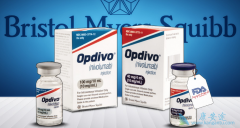 �ձ������Ͷ�ʡ��׼Opdivo�������Ʋ����г����ڻ򸴷���θ��