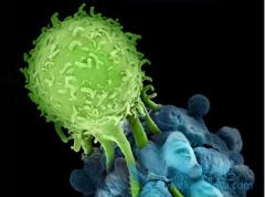 ����CAR-T�Ʒ������������Ƹ�����