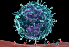 PD-1���Ƽ���FDA��ʽ��׼������Щ��֢?