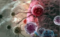 �о���Աϣ����CAR-Tϸ��������Ϊһ������