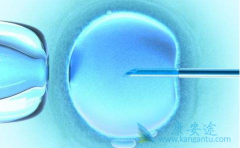 �й��Թ�Ӥ���ɹ����к�Ҫע����ڵ���ʳ