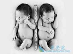 �����Թ�Ӥ����ֲǰע����������������Թ�Ӥ���ɹ���