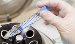 ����˹�Թ�Ӥ���ɹ��ʸߵĵ���Ҫԭ��