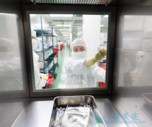 CAR-Tϸ���Ʒ���Ӧ���Դ��ڳ����𲽽׶�