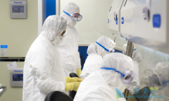 CAR-Tϸ���Ʒ��ӻ��������з����Tϸ�����и���