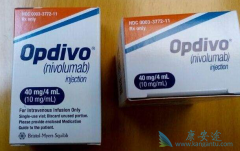 PD-L1���ԵĻ���ʹ��PD-1�¸��������Կɻ���