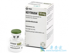 ��ʱ��ʩ����Ĭɳ����PD-1���Ƽ������۶��100��