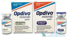 �Ӽ����Ƕ���������PD-1�������ظ�����Ϊ��