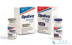 Ŀǰ�����ж�ҹ�˾��չPD-1������ҩ���з�