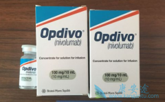 ����PD-1�з������ڹ��ڷ����ʽϸߵİ���