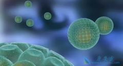 ӡ�ȱ�����ҩ�ڷ�չ�й��ҵ��г������������谭