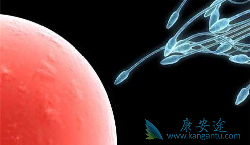 试管婴儿吧 试管婴儿吧