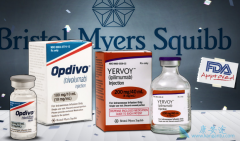 Yervoy��һ��ȫ��Դ����CTLA-4�ĵ���¡����