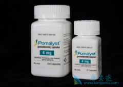 Pomalyst�������Ȱ�����һ���п��������Ե����ߵ��ڼ�