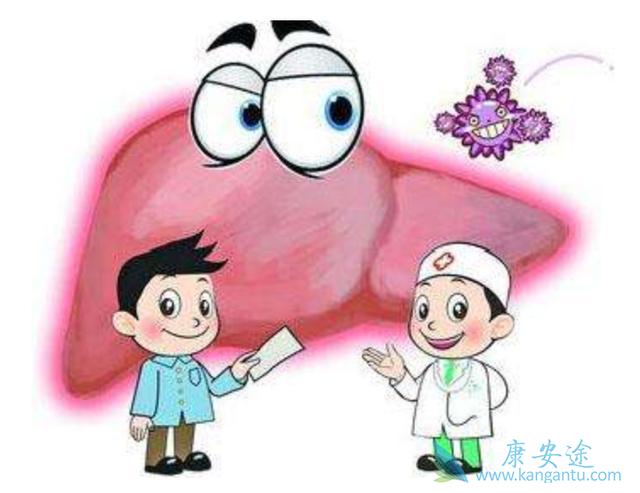 乙肝病毒携带者 乙肝病毒携带者