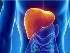 ���ε����Ʒ�������Щ�������Ʒ������ֱȽϺ�