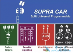 CAR-T�Ʒ��Դ���һЩ����ؽ�����