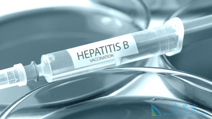 乙肝病毒携带者 乙肝病毒携带者