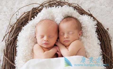 试管婴儿网 试管婴儿网