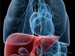 ���η�չ�����׶�ʱ�ڵı��ε�Σ���ֱ���ʲô