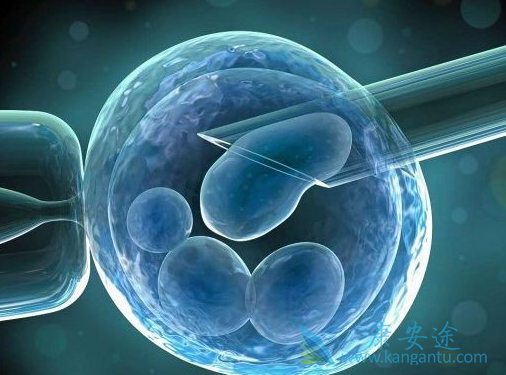 泰国试管婴儿费用 泰国试管婴儿费用