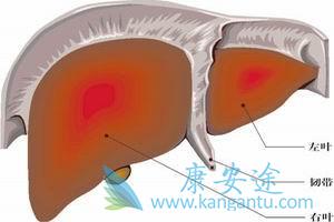 急性丙肝的症状 急性丙肝的症状