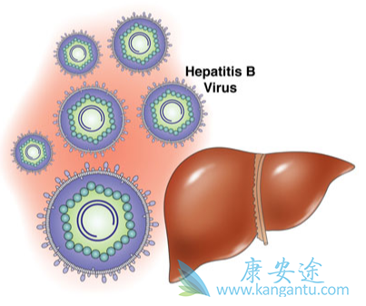 乙肝表面抗体 乙肝表面抗体