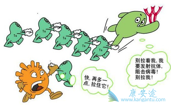 乙肝病毒携带者 乙肝病毒携带者