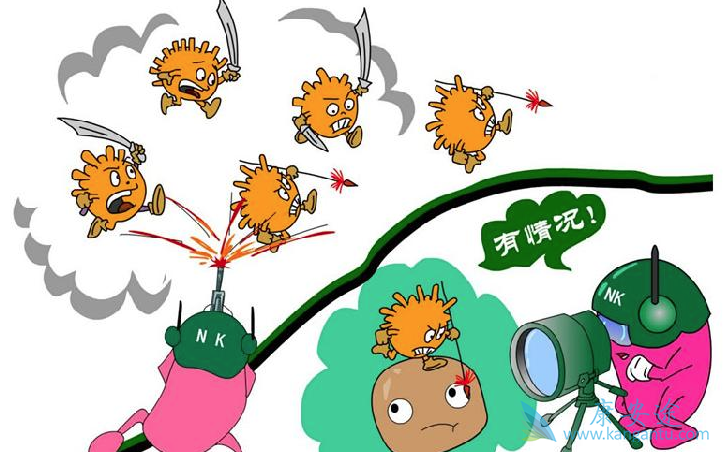 乙肝五项 乙肝五项