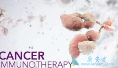 CAR-Tϸ���Ʒ��ĳ�������������Щ?