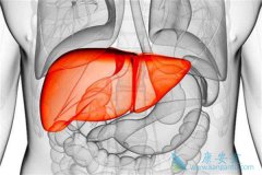 ӡ��Mylan���������Ǹ��Լ۱ȵı������Ʒ���