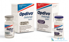 PD-1���Ƽ�Opdivo����Yervoy�ڶ����֢������ո¶ͷ��