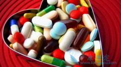 �������Ʊ��ε�ҩ�Ｊ�������ο���������