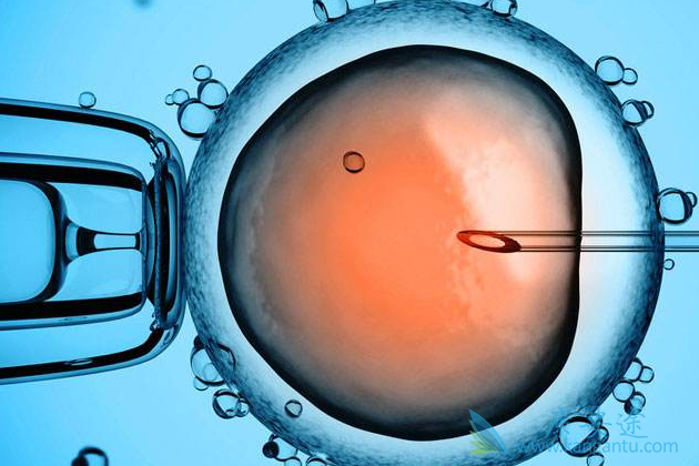 做试管婴儿的全过程 做试管婴儿的全过程