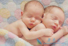 ����˹�Թ�Ӥ�����������Ծ�Һ��Ҫ��