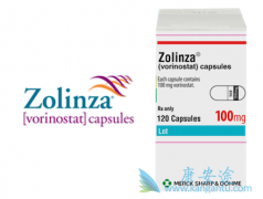 ����ŵ����Vorinostat������ʹHIV������¶�ĸ�����