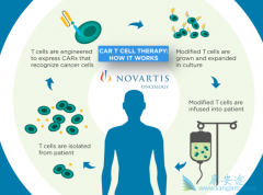 CAR-Tϸ���Ʒ�KYMRIAHΪ�����Ի�������DLBCL�ṩ����Ӧ��