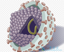 ������ҩ�Ѿ�����ҽ�����ø��������κñ�����