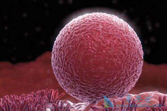 泰国试管婴儿医院 泰国试管婴儿医院