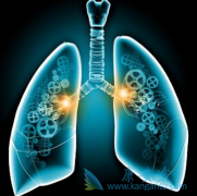 ������Щ�ΰ�֢״��ʾ���߷ΰ�ת����